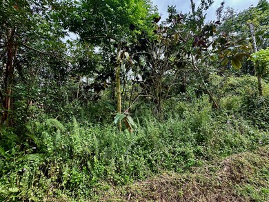 0 Nohea St unit 717620, Pahoa, HI 96778 - photo 2