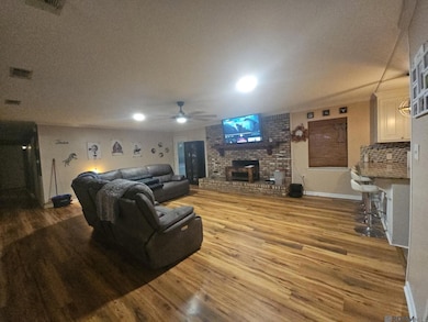 10345 Springfield Rd, Denham Springs, LA 70706 - photo 3