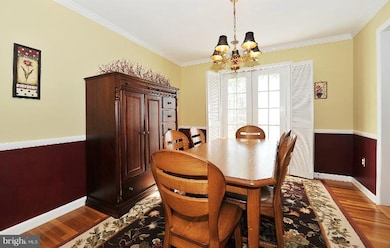 1807 Cool Spring Dr, Alexandria, VA 22308 - photo 5