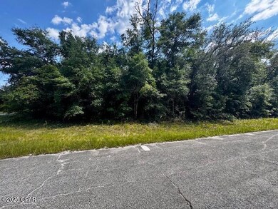 Lot 37 Diane Place, Chipley, FL 32428 - photo 3