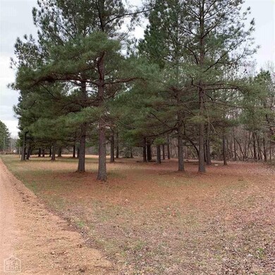 640 Greene 725 Rd, Paragould, AR 72450 - photo 4