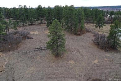 1561 Arrowpoint Ct, Franktown, CO 80116 - photo 4