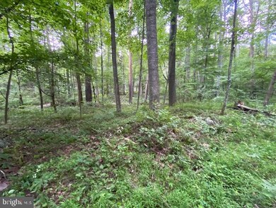 9.89Acs Rough Run Rd, Eastern, WV 26802 - photo 4