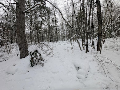 off Wooded Ln, Conover, WI 54519 - photo 3