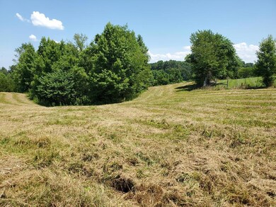 7A Coles Chapel Rd, Sparta, TN 38583 - photo 4