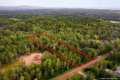 XX Torma Rd, Esko, MN 55733 - photo 7