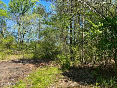 Palestine Rd (23)