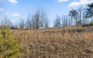 0 Roaring Creek Rd unit 25791594, Dunlap, TN 37327 - photo 7