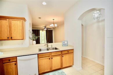 6255 Duck Key Ct, Tampa, FL 33625 - photo 7