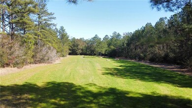 12860 Old Citronelle Rd, Chunchula, AL 36521 - photo 5