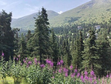 Hiking Trails Galore