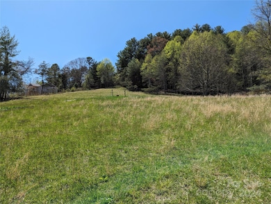 TBD Jaybird Ln, Flat Rock, NC 28731 - photo 3