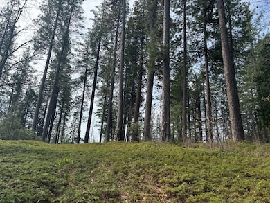 164 Vireo Way, Arnold, CA 95223 - photo 6