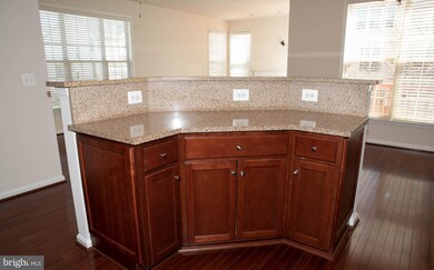 22166 Breitling Terrace, Broadlands, VA 20148 - photo 7