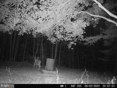 0 Aireys Rd unit MDDO2008728, Cambridge, MD 21613 - photo 6