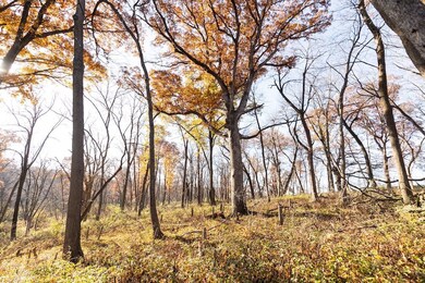 18781 125 St, Ottumwa, IA 52501 - photo 4