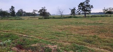 535 County Road 1912, Yantis, TX 75497 - photo 4