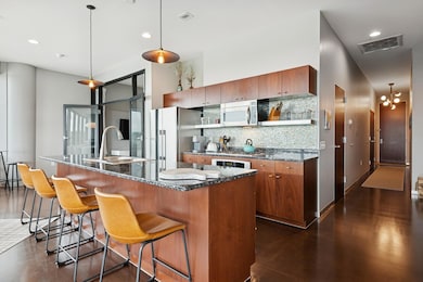 Cloud 9 at Sky Flats unit 517, Minnetonka, MN 55343 - photo 4