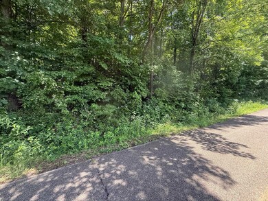 View of asphalt road featuring a forest view