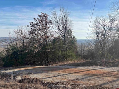 555-00002-000 Marion County 3063, Yellville, AR 72687 - photo 7