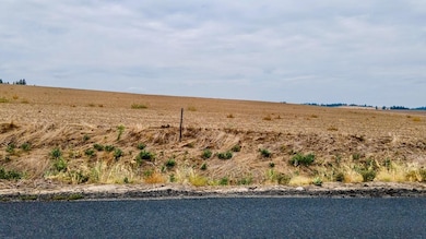 15237 E Belmont Appx Rd, Mica, WA 99023 - photo 2