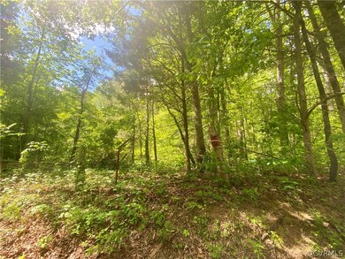 View of local wilderness