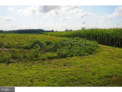 235 Island Rd, Columbus, NJ 08022 - photo 6