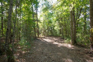 77 Wheat Patch Rd, Bath, NC 27810 - photo 2