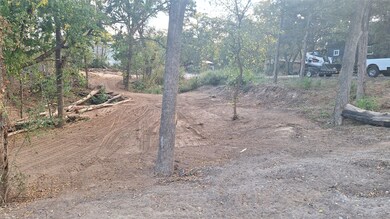 984 Allen A Dale, Sherwood Shores, TX 76245 - photo 3