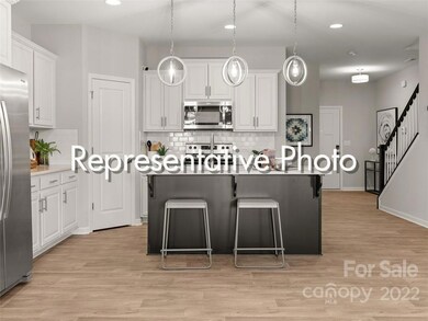 13213 Gadwal Pintail Dr unit 191, Charlotte, NC 28262 - photo 3