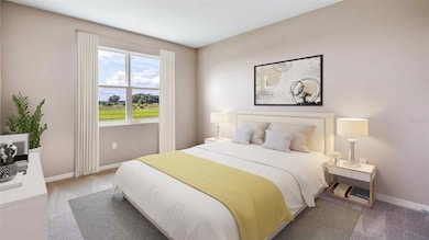 2209 Sienna Spruce St, Wesley Chapel, FL 33543 - photo 5