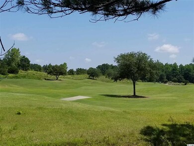 9325 Bellasera Cir unit 34 Members Club, Myrtle Beach, SC 29579 - photo 3