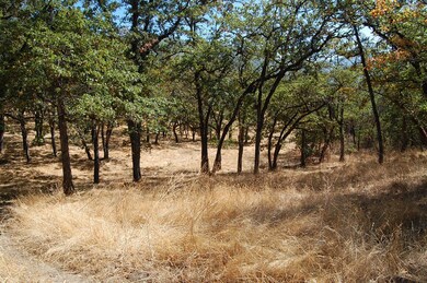 0 NE Greenfield Tl300 unit 102982269, Grants Pass, OR 97526 - photo 3