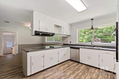 Kitchen featuring sink, stainless steel dishwasher, dark hardwood / wood-style flooring, and white cabinets