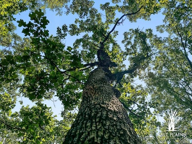 0 Brooken Mt Rd, Stigler, OK 74462 - photo 6