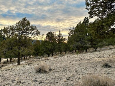 0 Murrelet unit Lot 1193 220174095, Klamath Falls, OR 97601 - photo 7