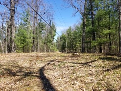 VL M-37 (Woodbridge), Bitely, MI 49309 - photo 2