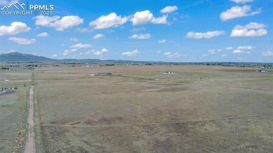 2605 Antelope Hill View, Peyton, CO 80831 - photo 5