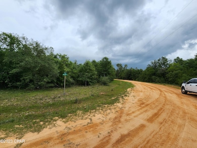 0 Onida St unit Lot 5 742925, Alford, FL 32420 - photo 7