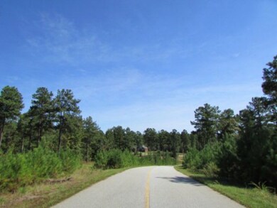 2 Fox Creek Dr, Haddock, GA 31033 - photo 6