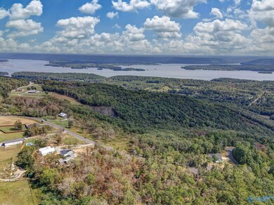 215 Wilson Rd, Scottsboro, AL 35769 - photo 3