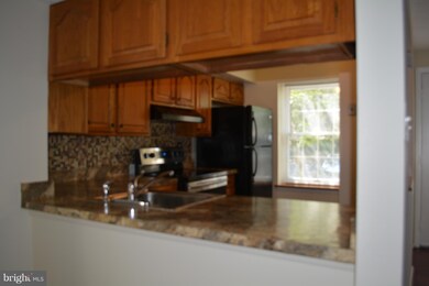 13933 Palmer House Way, Silver Spring, MD 20904 - photo 4