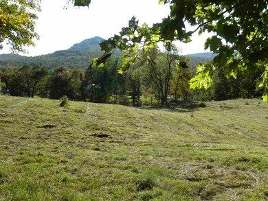 0 Meek Rd, Lowell, VT 05847 - photo 6