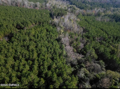 000 Suqualena Meehan Rd S, Meridian, MS 39307 - photo 3