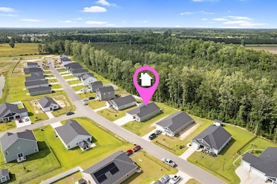 Aerial perspective of suburban area featuring a forest