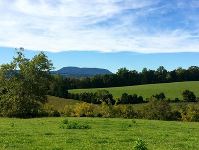 View 4