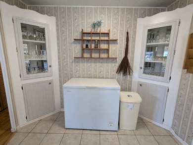Built in Cabinets/Freezer