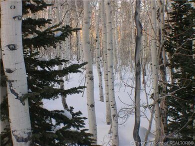 Land/Lot. View of property