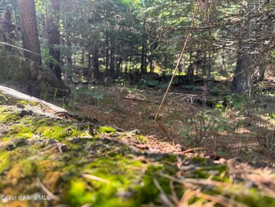 NNA Backroads Way Lot 3, Priest River, ID 83856 - photo 5