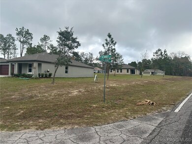 Actual Home and Property